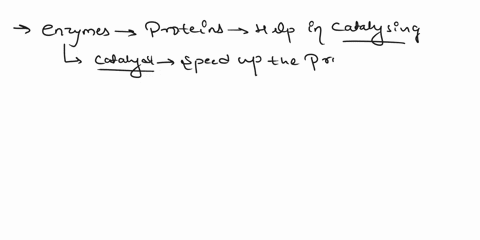 how-does-enzyme-influence-a-biological-reaction-77408