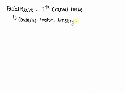 the-nucleus-for-the-facial-nerve-cranial-nerve-vii-is-located-in-the-medulla-midbrain-pons-cerebellum-hypothalamus-01647
