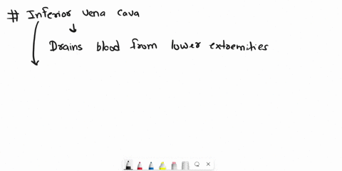 the-inferior-vena-cava-brings-blood-from-the-lower-regions-of-the-body-and-empties-into-the-__________-a-left-atrium-b-aorta-c-left-ventricle-d-right-atrium-e-right-ventricle-38933