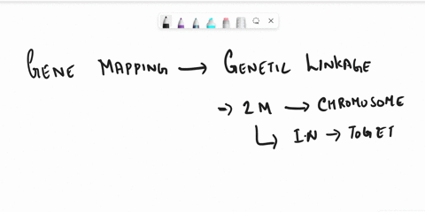 assume-there-are-3-genes-on-a-chromosome-that-are-of-interest-describe-how-you-would-design-a-mapping-cross-to-determine-their-order-how-would-you-interpret-the-results-of-the-experiment-52565