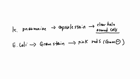 evaluale-the-following-stalning-procedures-and-idenlifying-charactertstics-and-malch-hem-0-ihe-correct-bacterial-cell-bacterial-cell-stain-appearance-ackd-fast-stoin-klebsiclla-pneumoniae-ca-50231
