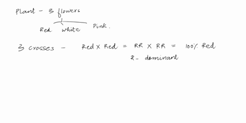 10-assumc-certain-plant-species-produces-red-white-and-pink-flowers-to-determine-the-type-of-inheritance-pattern-shown-the-following-crosses-were-conducted-and-results-observed-red-x-red-100-50904