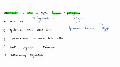 identify-the-attributes-of-the-skin-that-make-it-an-effective-barrier-against-pathogens-pick-one-of-the-choices-below-there-maybe-more-then-one-answer-a-has-a-low-ph-that-inhibits-reproducti-77497