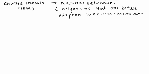 which-of-the-following-describes-natural-selection-fittest-individuals-have-the-most-offspring-individuals-change-their-characteristics-in-response-to-their-environment-species-become-more-f-41602