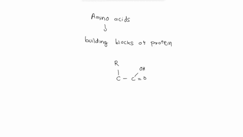 what-makes-amino-acids-different-from-each-other-amino-group-carboxyl-group-hydrogen-atom-side-chain-01948