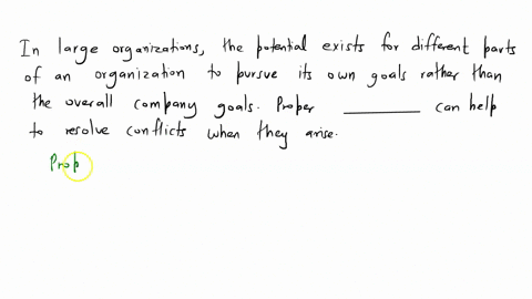 in-large-organizations-the-potential-exists-for-different-parts-of-an-organization-to-pursue-its-own-goals-rather-than-the-overall-company-goals-proper-_______-can-help-to-resolve-conflicts-08576