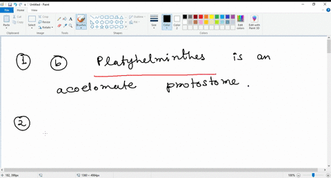 which-below-is-an-acoelomate-protostome-a-annelids-b-platyhelminthes-c-cnidarians-d-molluscs-e-nematodes-which-phyla-of-animals-have-nematocysts-for-capturing-food-and-prey-a-cnidaria-b-cten-65086