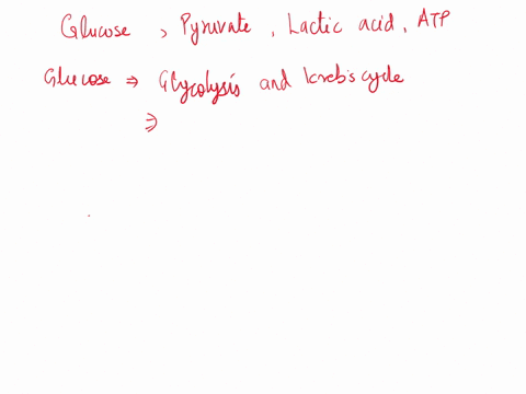 from-which-of-the-following-molecules-is-the-greatest-amount-of-energy-released-when-it-is-broken-down-in-the-body-one-answer-must-be-chosen-glucose-pyruvate-lactic-acid-atp-40464