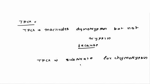 tpck-inactivates-chymotrypsin-but-not-trypsin-because-a-it-looks-like-the-substrate-for-chymotrypsin-but-not-trypsin-and-thus-can-bind-in-its-active-site-and-modify-his-57-b-trypsin-does-not-04927
