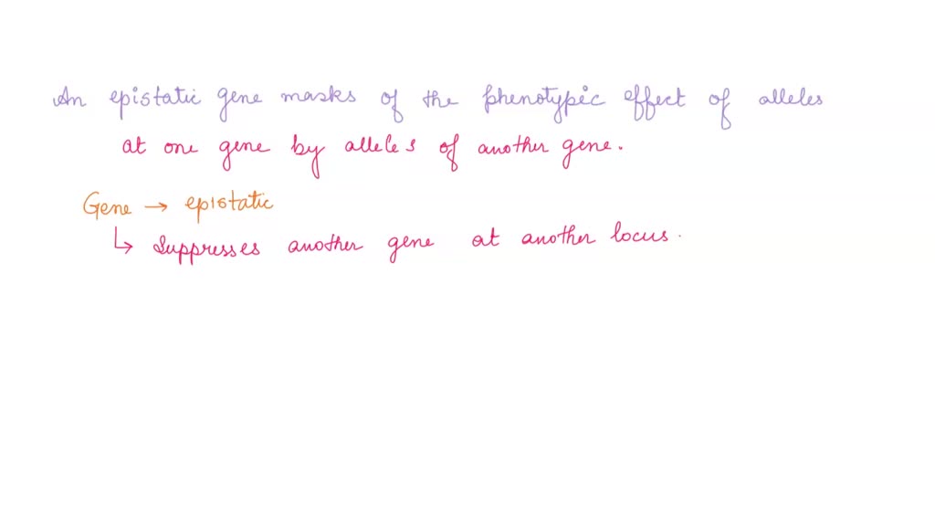 SOLVED Tasty Fruit Activity Name Use the graph below to answer the