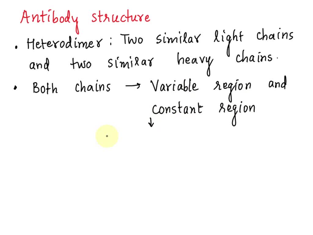 SOLVED Which part of the antibody structure is optimized for binding antigens? Constant region