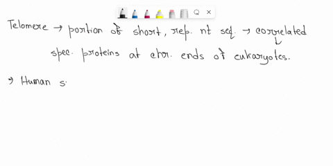 what-is-the-structure-of-telomeres-long-unique-dna-sequences-found-at-the-end-of-linear-eukaryotic-chromosomes-short-repetitive-dna-sequences-found-at-the-end-of-linear-eukaryotic-chromosome-98586