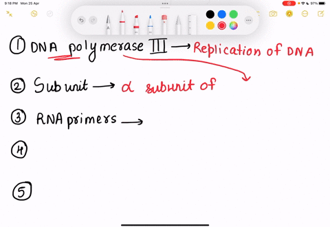 which-proteins-are-part-of-the-holoenzyme-responsible-for-dna-replication-in-an-e-coli-select-all-that-apply-partial-credit-will-be-awarded-but-incorrect-choices-will-be-penalized-dnaa-ssb-d-62306