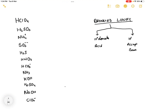 which-of-the-following-can-behave-as-bronsted-lowry-acids-in-aqueous-solution-hclo4-h2so3-nh4-so32-h2s-hno3-hco3-nh3-hco3-nh3-koh-h2so4-nh3-naoh-clo4-nh4-33985