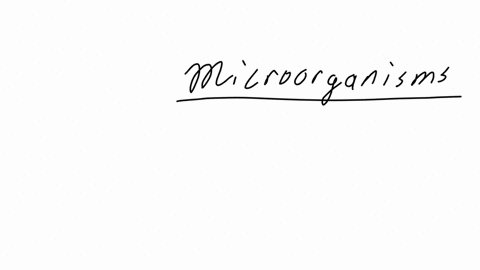 most-microceganisms-that-are-found-in-and-on-humans-do-not-cause-harm-and-can-sometimes-benefit-the-host-true-or-foise-true-false