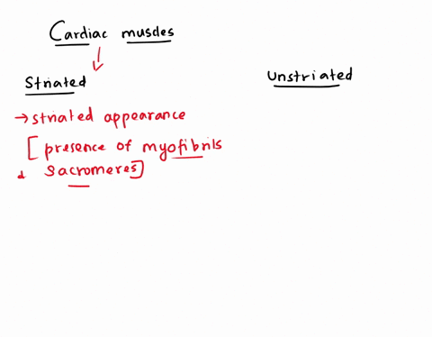 give-reasons-why-cardiac-muscles-are-similar-to-both-striated-and-unstriated-muscles-84893