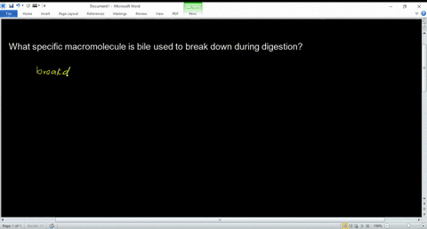 what-specific-macromolecule-is-bile-used-to-break-down-during-digestion-87772