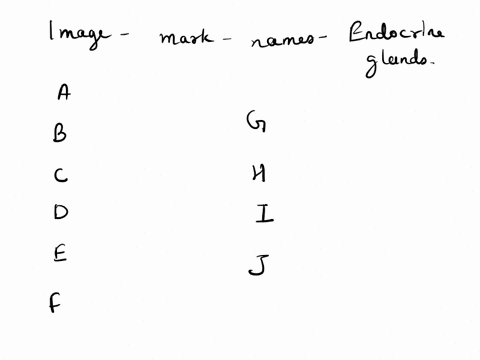 endocrine-glands-fill-out-the-names-of-the-following-glands-thyroid-gland-trachea-nois-f-lung-meart-liver-stomach-kidney-urerus-small-intestine-scro-h-99774