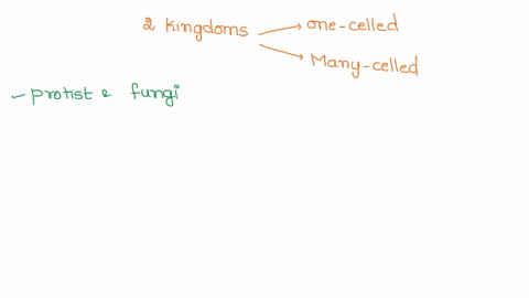 which-two-kingdoms-include-both-one-celled-and-many-celled-organisms-53972