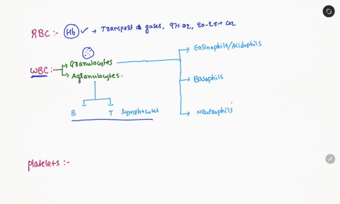 mention-the-three-kinds-of-cell-present-in-blood-write-one-function-each-12584