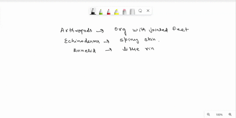 what-do-these-latin-phylum-names-mean-in-english-arthropod-echinoderm-annelid-platyhelminthes-chordate-mollusca-porifera-cnidaria-77335