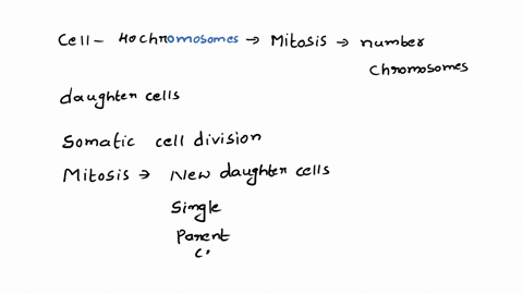if-a-cell-with-40-chromosomes-undergoes-mitosis-each-of-the-____-daughter-cells-will-have____-chromosomes-08147