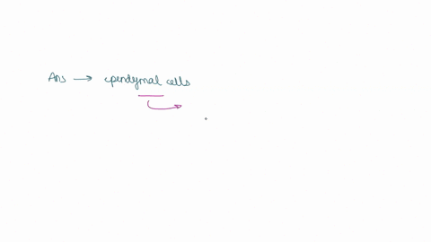 the-glial-cells-that-help-produce-csf-in-the-cns-area-satellite-cellsb-microglial-cellsc-ependymal-cellsd-astrocytes-80958