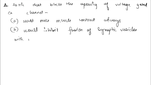 toxin-that-blocks-the-opening-voltage-gated-calcium-channels-wvould-make-your-muscles-contract-all-the-time-neurons-and-therefore-would-inhibit-the-fusion-of-synaptic-vesicles-with-the-membr-24998