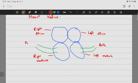 choose-the-false-match-below-concerning-valves-in-the-heart-the-pulmonary-semilunar-valve-is-at-the-base-or-opening-of-the-pulmonary-trunk-the-tricuspid-valve-is-a-valve-found-betwen-the-rig-76995