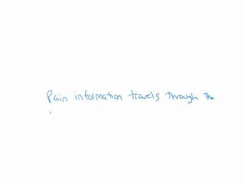 two-different-neural-pathways-transmit-pain-messages-to-the-brain-a-fast-pathway-and-a-slow-pathway-in-the-slow-pathway-group-of-answer-choices-pain-information-travels-through-the-limbic-system-fiber