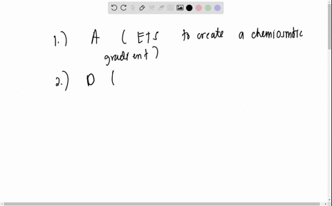 1-how-are-non-cyclic-and-cyclic-photophosphorylation-similar-a-both-involve-an-ets-to-create-a-chemiosmotic-gradient-in-order-to-produce-atp-b-both-use-the-same-electron-source-when-in-aerob-19401