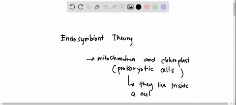 which-statement-describes-evidence-in-support-of-the-endosymbiont-theory-group-of-answer-choices-mitochondria-chloroplasts-and-cytoplasmic-translation-are-inhibited-by-antibiotics-such-as-ch-06003