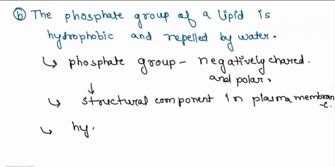 which-one-of-the-following-statements-is-false-cellular-membranes-are-made-of-a-bilayer-of-phospholipids-with-each-layers-fatty-acids-directed-toward-each-other-the-fatty-acids-are-hydrophob-03447