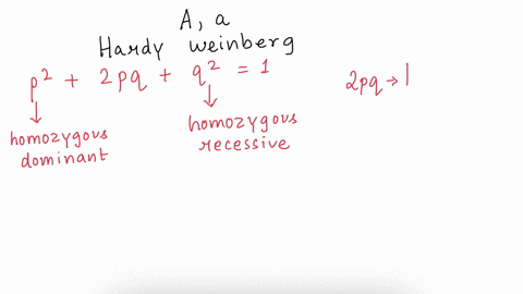 assume-that-the-population-is-in-hardyweinberg-equilibrium-so-there-is-no-migration-no-mutation-no-natural-selection-and-no-drift-and-the-population-is-randomly-mating-you-are-studying-a-lar-47545