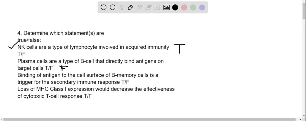 Which Statement Is True Regarding Lymphocytes SOLVED: Determine which statement(s) are true/false: NK cells are a