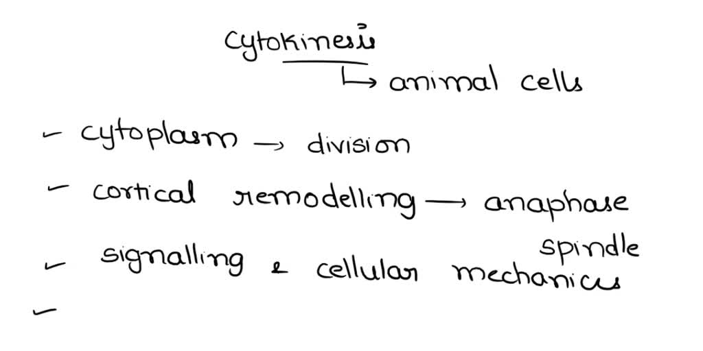 SOLVED How does cell division occur when centrioles are absent in