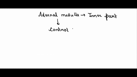 name-two-hormones-secreted-by-the-adrenal-medullaand-list-the-effects-of-these-hormones-14278