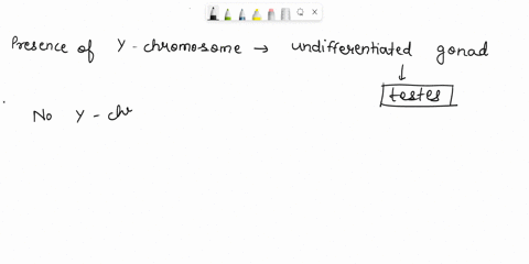 answers-are-y-z-w-x-look-at-the-image-below-and-fill-in-the-blanks-in-the-presence-of-a-y-chromosome-the-undifferentiated-gonad-develops-into-if-no-y-chromosome-is-present-then-develops-the-56406