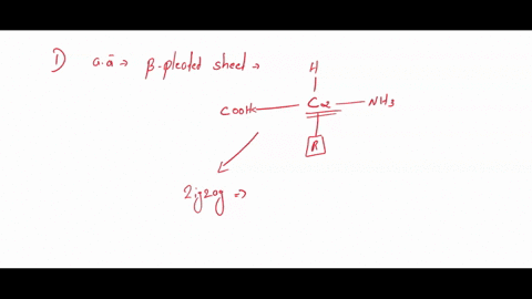 instructions-in-class-examined-an-alpha-helix-as-an-example-of-common-secondary-structure-in-proteins-on-your-own-do-the-same-thing-for-the-beta-pleated-sheet-shown-bclow-and-answer-the-ques-51122