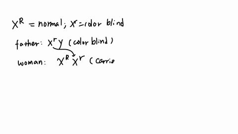 5-a-recessive-allele-on-the-x-chromosome-responsible-for-red-green-color-blindness-in-humans-color-blind-male-what-is-the-woman-with-normal-vision-whose-father-is-color-blind-marries-first-s-77275