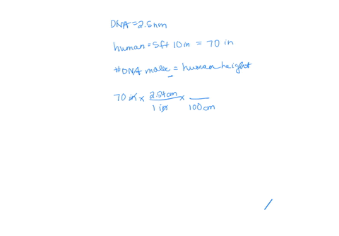 basic-laboratory-techniques-pre-lab-questions-you-should-be-able-to-answer-the-following-questions-before-beginning-this-experiment-what-are-the-basic-units-of-clectric-cunent-time-amount-of-70378