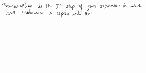 which-of-the-following-events-occurs-directly-after-rna-polymerase-recognizes-the-transcription-start-site-of-a-gene-a-the-polymerase-strings-amino-acids-into-a-polypeptide-b-a-complementary-52322