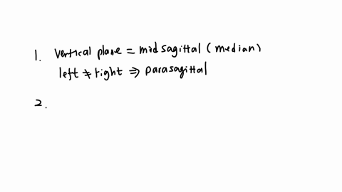 drag-the-words-into-the-correct-boxes-you-may-use-one-term-more-than-once-the-sagmal-plane-is-the-plane-that-divides-the-body-or-an-organ-verticaly-into-night-and-lett-sides-if-this-vertical-plane-i-d