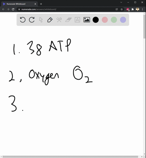 1-at-the-end-of-cellular-respiration-a-eukaryotic-cell-can-yield-a-net-total-of-___-atp-molecules-per-glucose-molecule-a-36-b-38-c-40-2-the-final-electron-acceptor-in-aerobic-respiration-is-74982