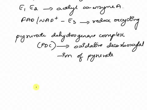 describe-the-reaction-catalyzed-by-the-pyruvate-dehydrogenase-complex-50194