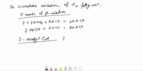 counting-atps-1-what-is-the-atp-yield-for-the-complete-oxidation-of-mathrmc_17-heptadecanoic-fatty-3-50253