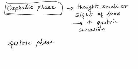 match-each-phase-of-digestion-to-its-appropriate-characteristics-cck-and-secretin-will-activate-the-enterogastric-reflex-suppressing-stomach-motility-cephalic-phase-the-thought-smellor-sight-35117