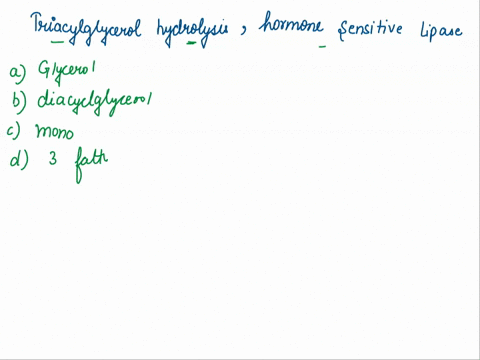 8-during-triacylglycerol-hydrolysis-hormone-sensitive-lipase-catalyzes-the-release-of-glycerol-and-a-single-free-fatty-acid-diacylglycerol-and-a-single-free-fatty-acid-monoacylglycerol-and-t-60589