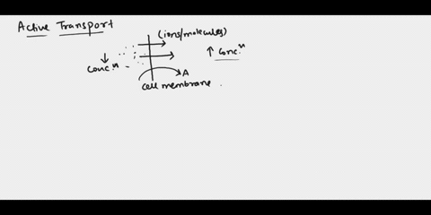 the-movement-of-ions-against-the-concentration-gradient-is-a-active-transport-b-osmosis-c-diffusion-d-all-of-the-above-35999