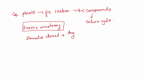 describe-two-alternative-photosynthesis-pathways-found-in-plants-suggest-how-these-adaptations-might-46387